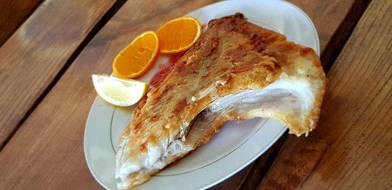 Debki Holstein Bar Karaoke Disco